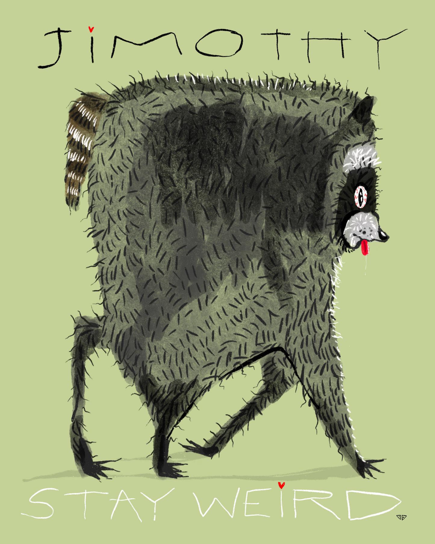 Jimothy | The Racoon